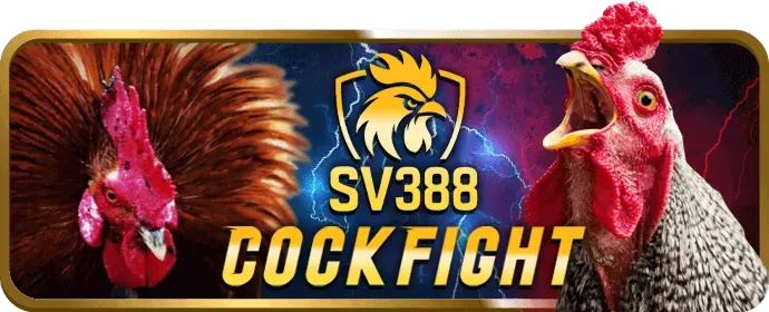 Video Slot hiện đại tại hi99 win